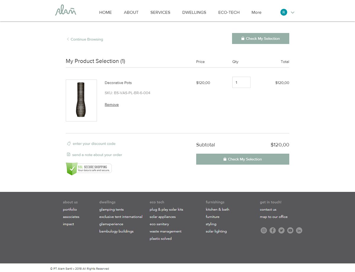 Ecommerce Website Web Design  web development  online shopping
