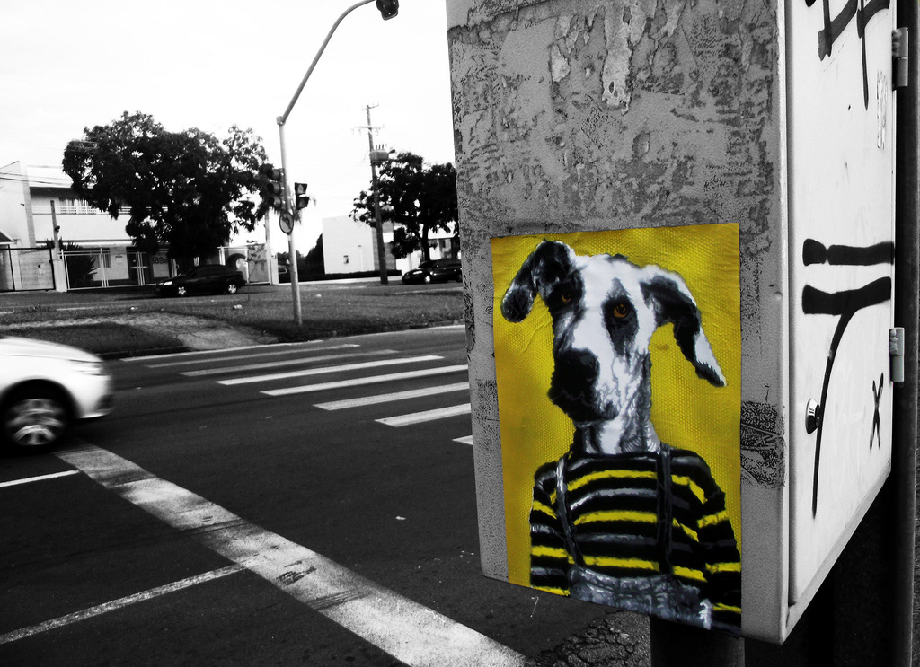 art stencil sticker artestenciva arte dog