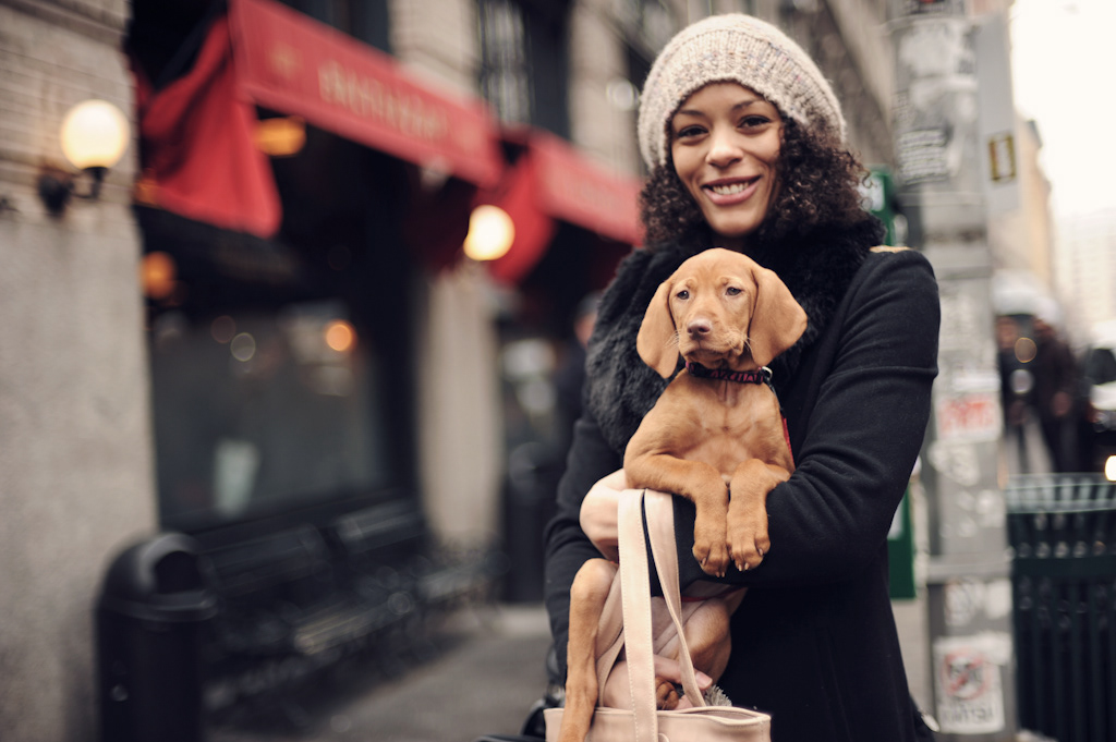 fashion shoot bags new york city New York soho Street model puppy puppies dog purse handbags morado Netherlands