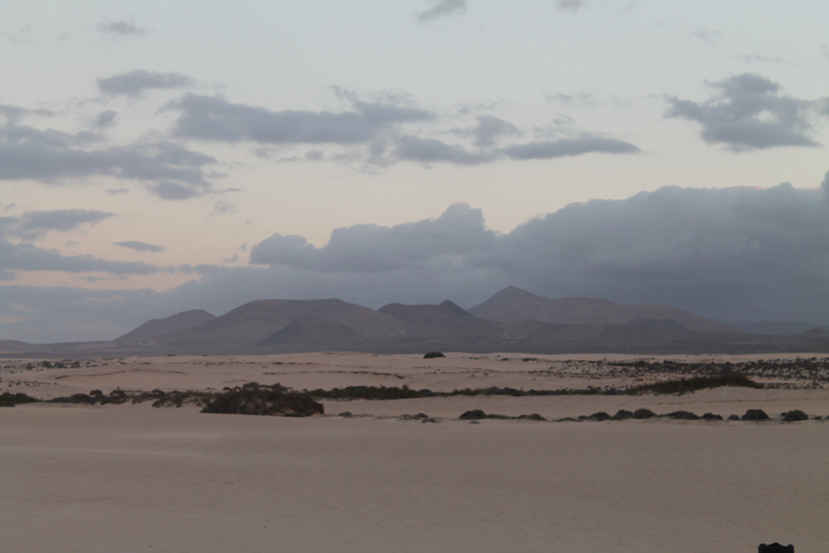 Holiday canary islands fuertaventura Landscape sunset beach camel mountain