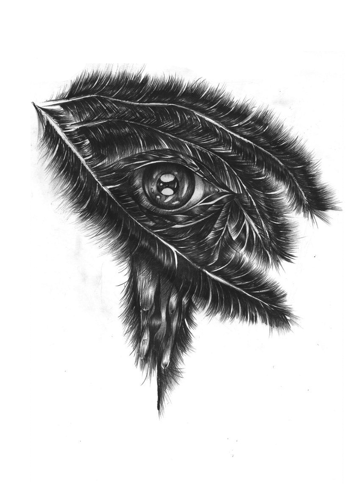 black bird eye crow raven ballpoint pen black white fantasy