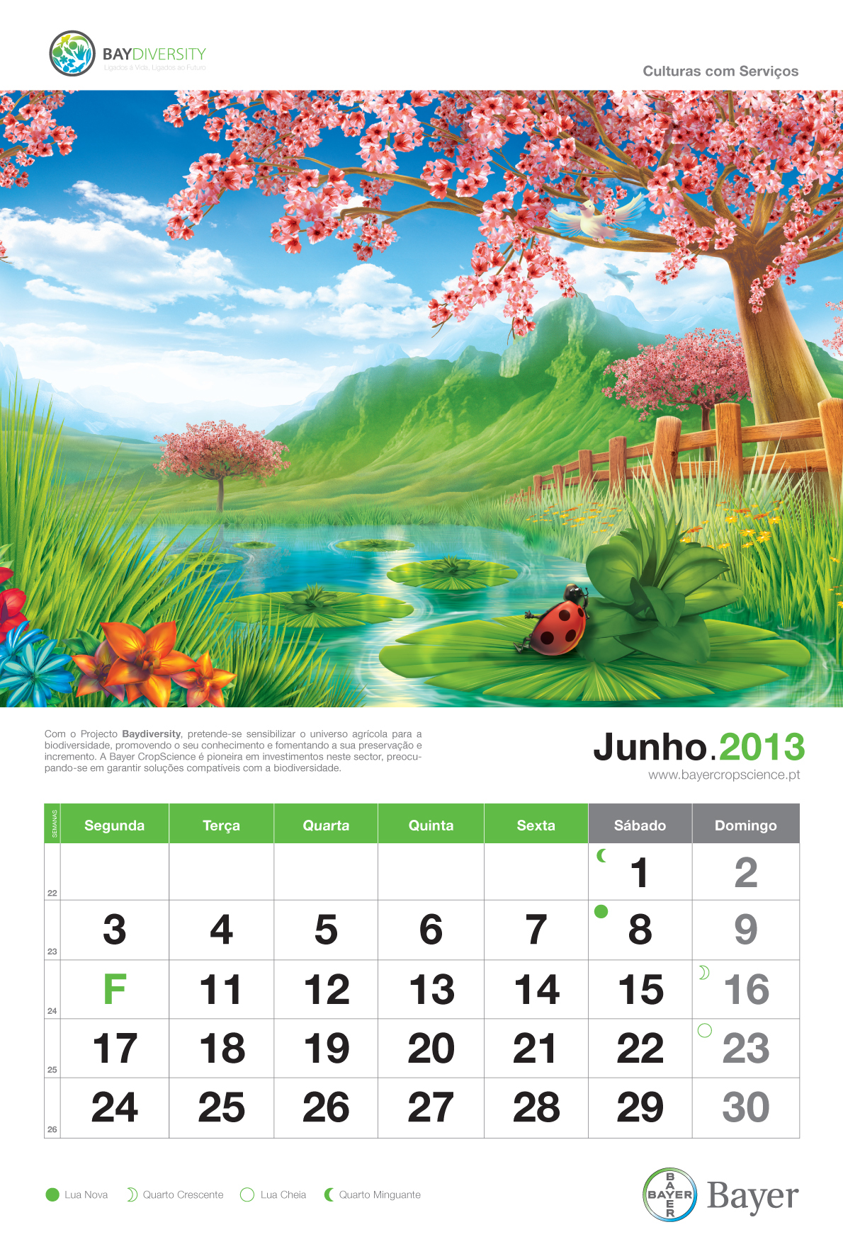 Calendar 2013 Bayer print calendar agriculture beetle draw months days year