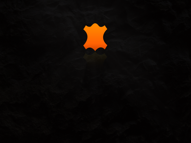 logo tannery orange black app application PC design Web Website pain simple flat Logo Design icons UI