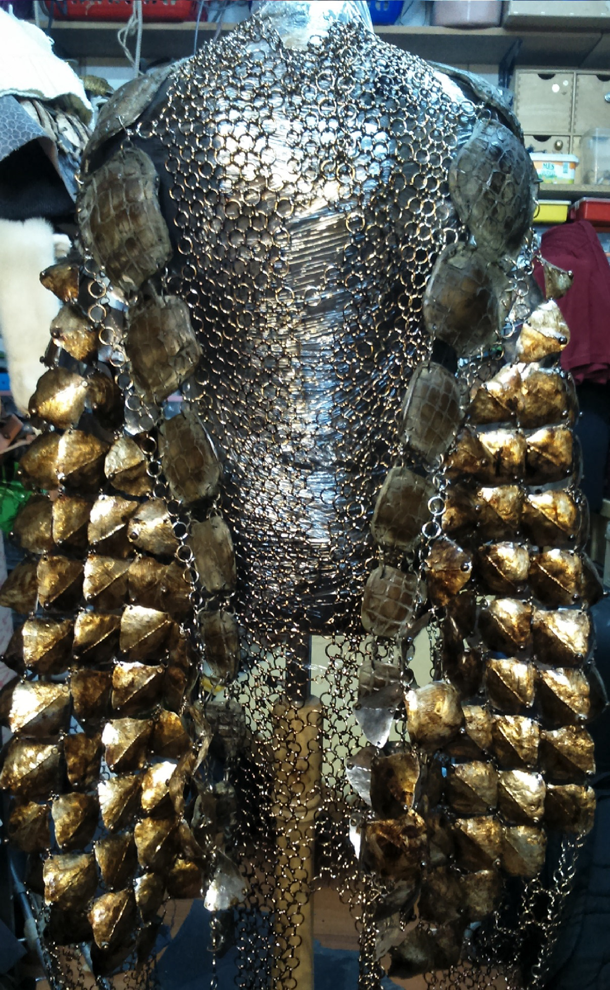 reptile king Armour chainmail design imaginary fantasy animal kingdom Character