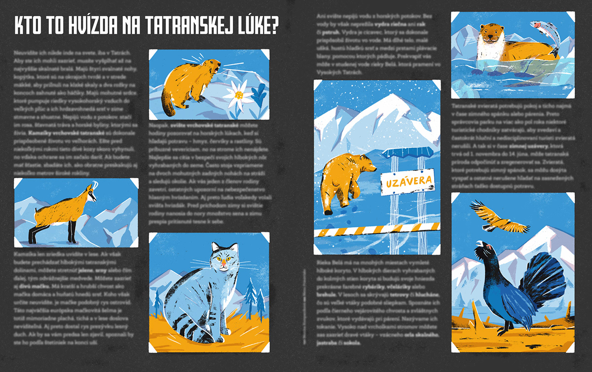 animal illustration book illustration children illustration czech illustration editorial Magazine illustration slovak illustration