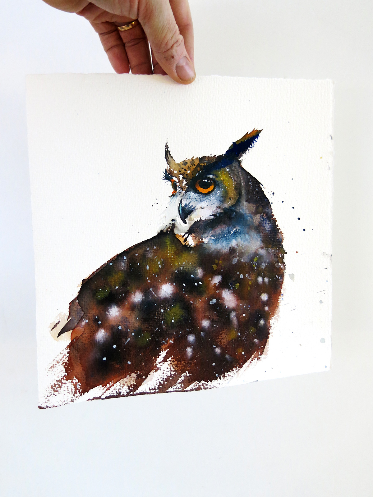 watercolor eagle owl