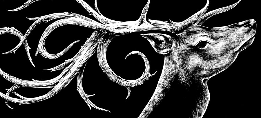 two winters black and white bw birds skull bones skulls winter lion water deer antlers fantasy