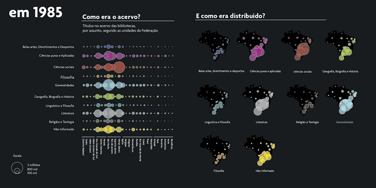 infographic  data visualization design Brazil library