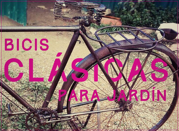 wordpress adobe photoshop Illustrator dreamweaver Bicicletas bici