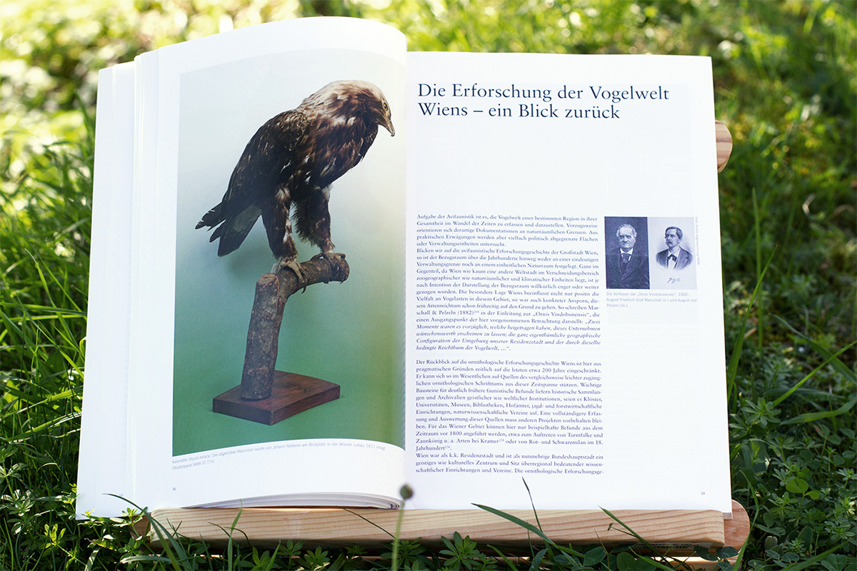 editorial design  book atlas bird Nature birdlife protection infographics bird species Layout