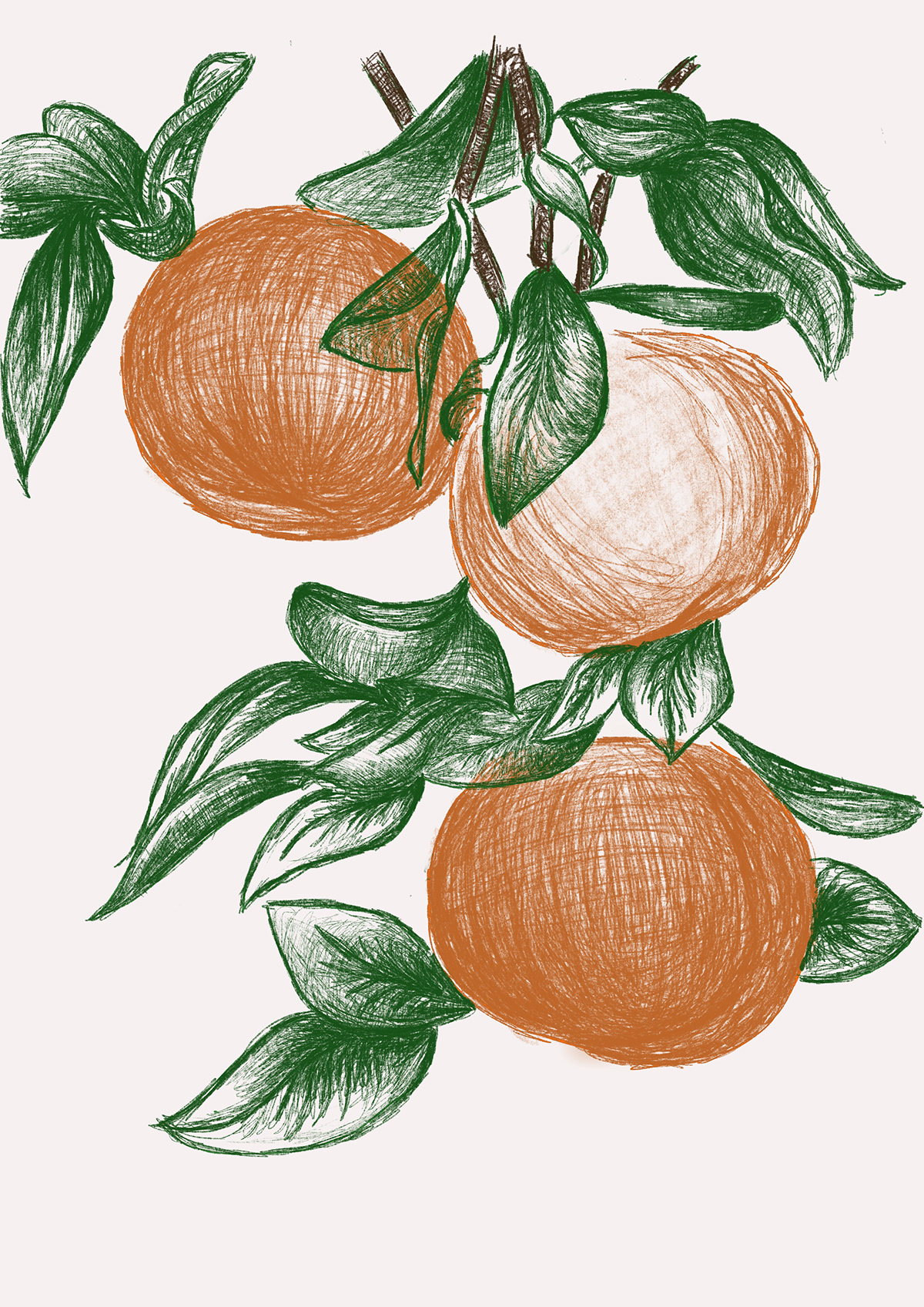 Fruit trees memories progress work Adobe Portfolio