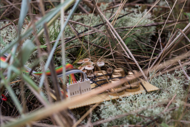 generative arts sonic wilderness sound art soccos hai art installation supercollider Arduino