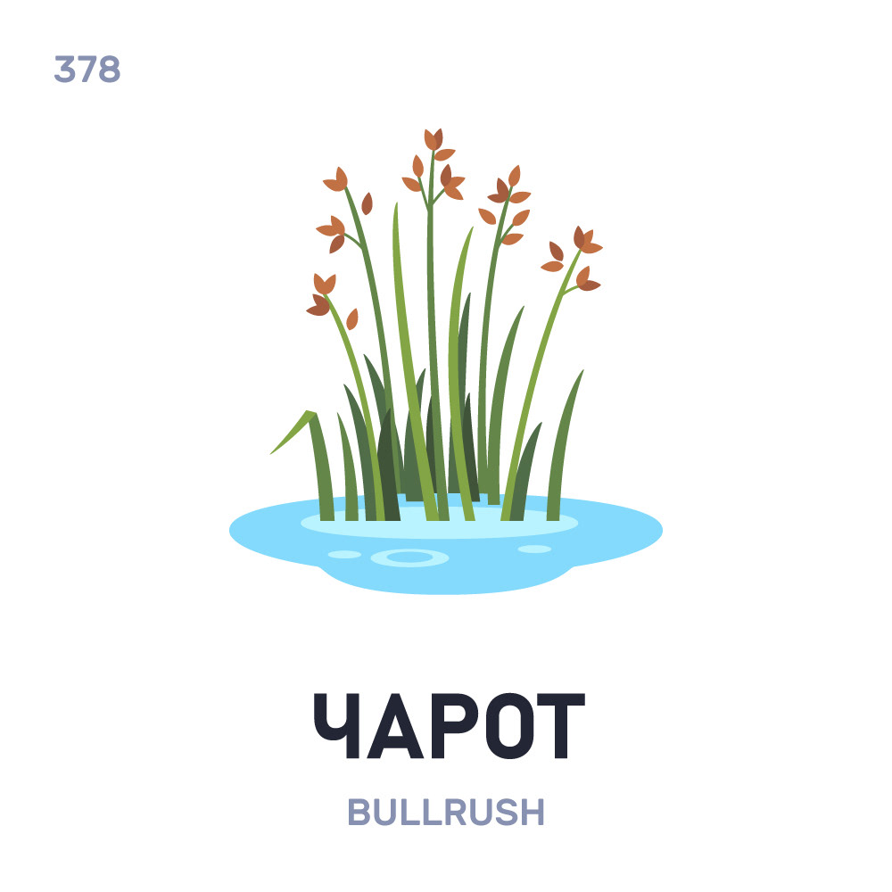 ILLUSTRATION  vector flat Icon word daily belarus belarusian language Беларусь Беларуская мова