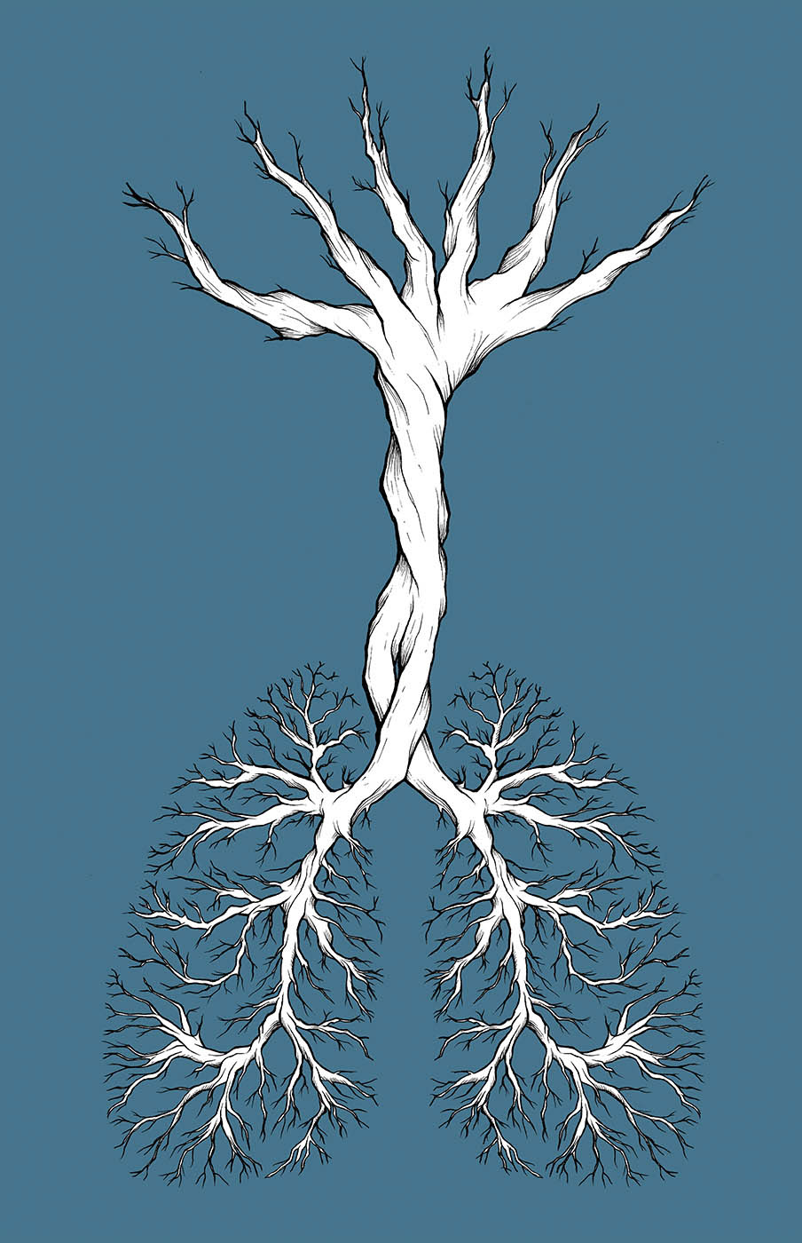 #tree #albero #human #Anatomía #illustrazione #illustration #illustracion #archetipo