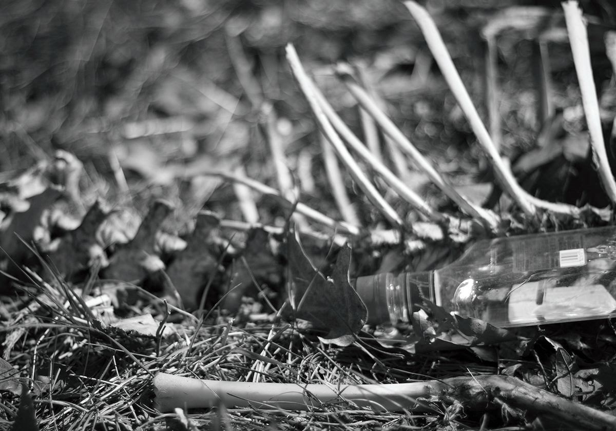 debris decay bones skeletons deer trash Environmentally Concerned Photography black and white