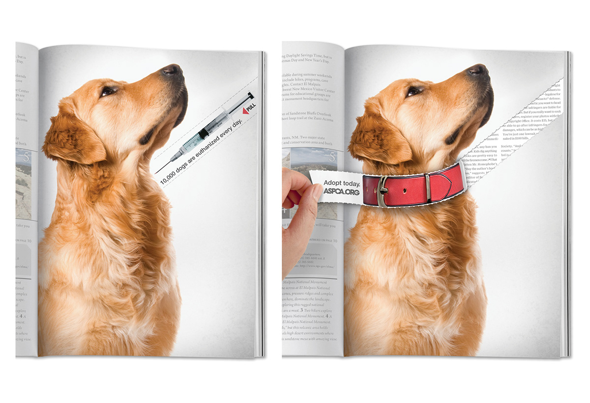 aspca Clio Print Single Clio2012 dog Dog Adoption adopt a pet dogs Magazine Ad haehyun haehyun park hongjoon hongjoon jang