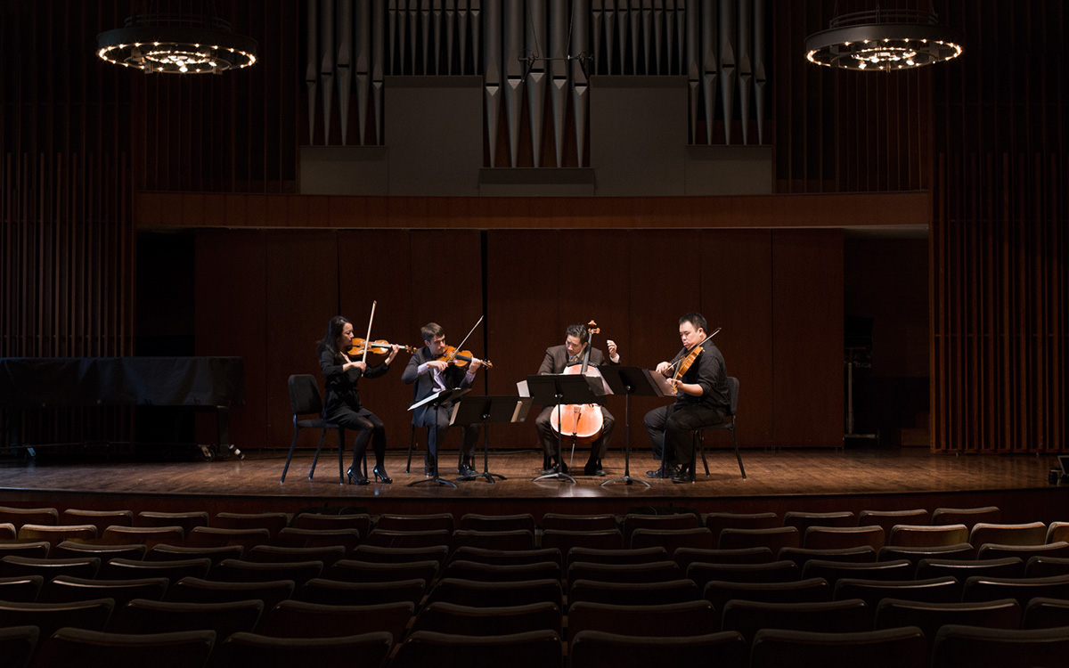 afiara quartet classical music Violin cello strings Website