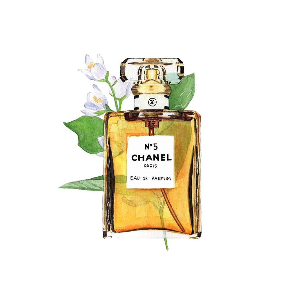 perfume bottle ILLUSTRATION  beauty chanel No 5 Jo Malone tom ford diptyque Drawing 