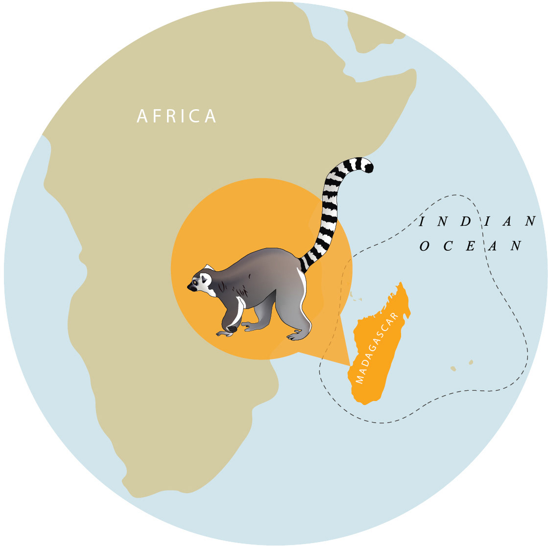 lemurs conservation