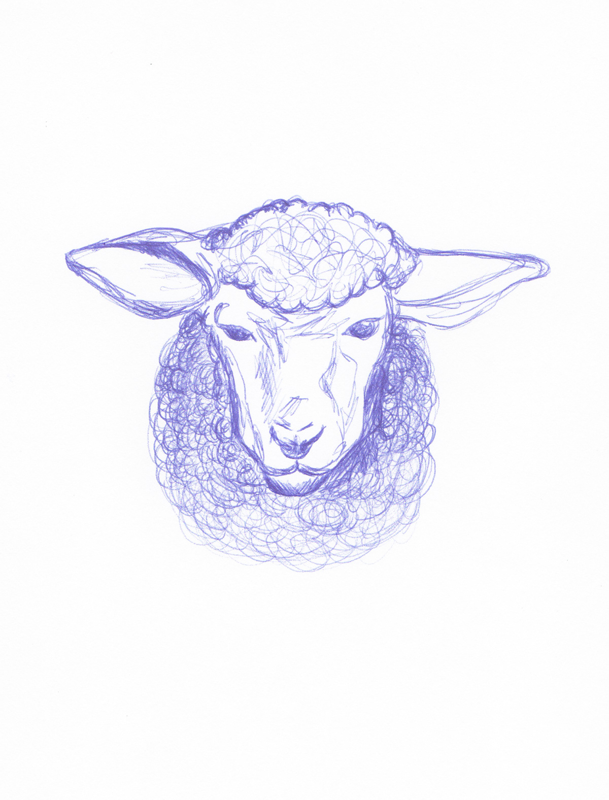 dessins animaux ferme mouton lapin cheval vache