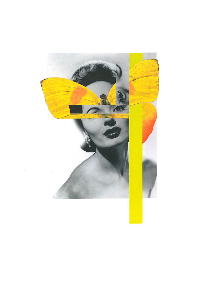 paper collage collage portrait butterfly