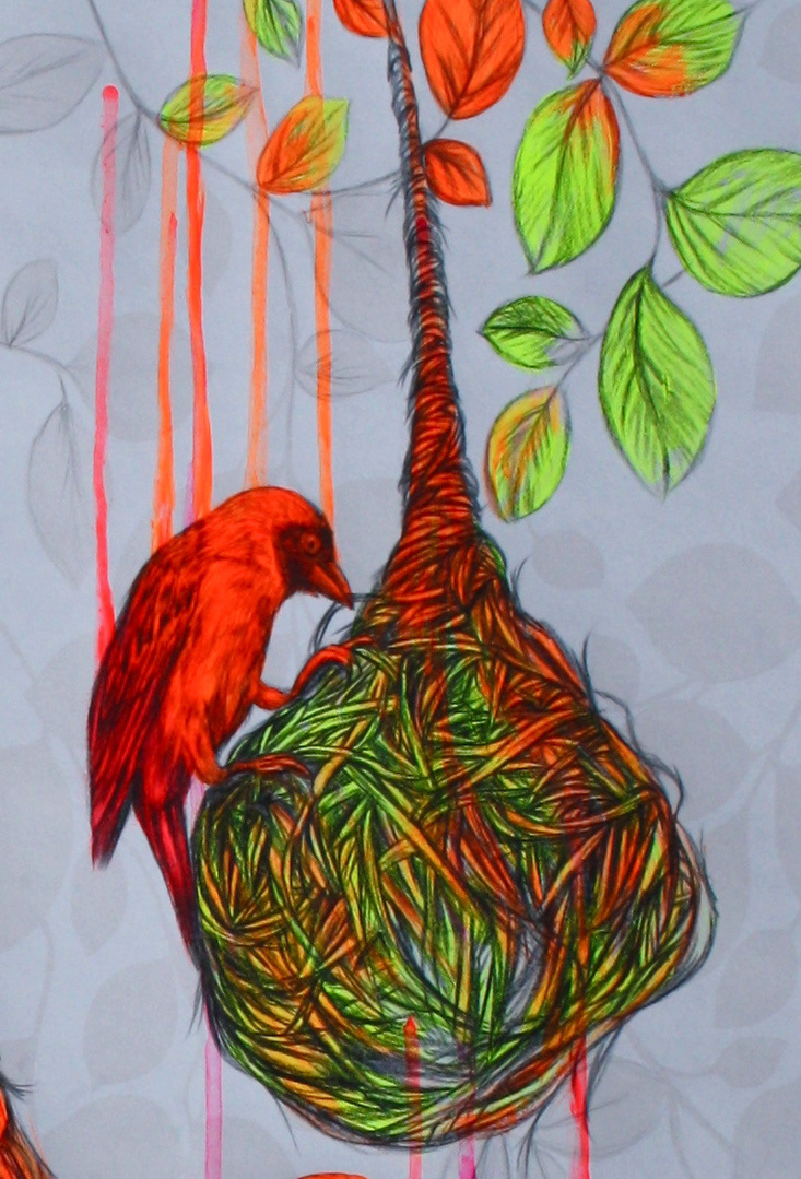 bird  neon Nature  birds  weaver nest leaves acrylic wallpaper