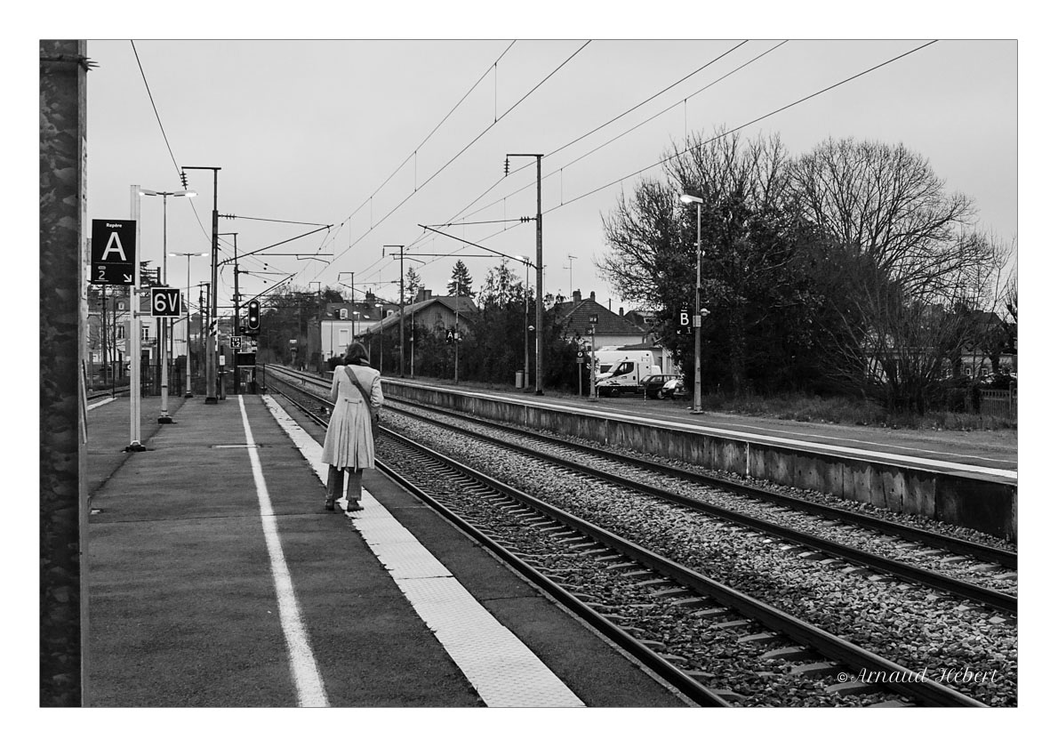 black and white gare monochrome noir et blanc Photography  STATION street photography train Transport