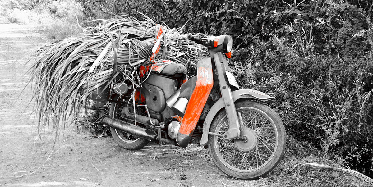 Travel photo documentary journey Street Transport rural people India