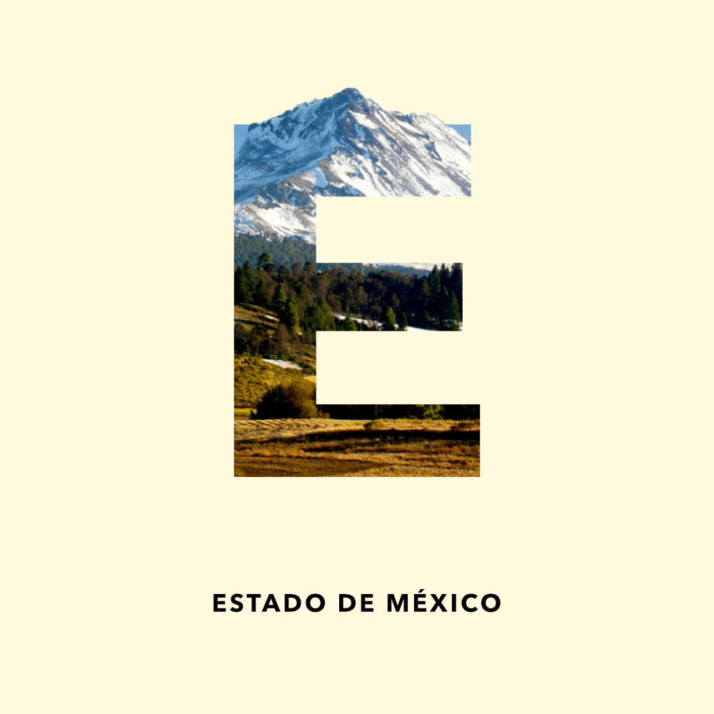 abecedario mexico diseño letras digital