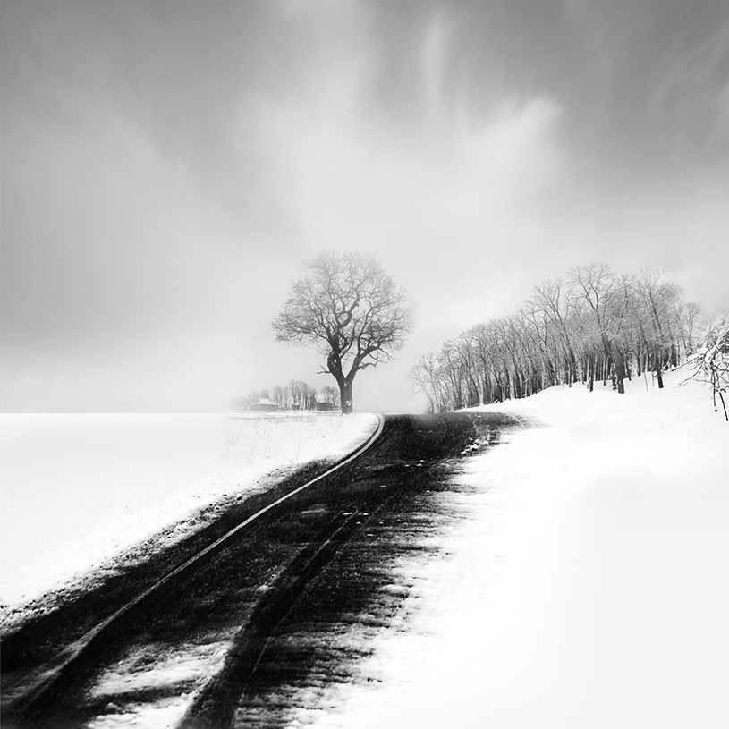 snow scapes FINEART black and white