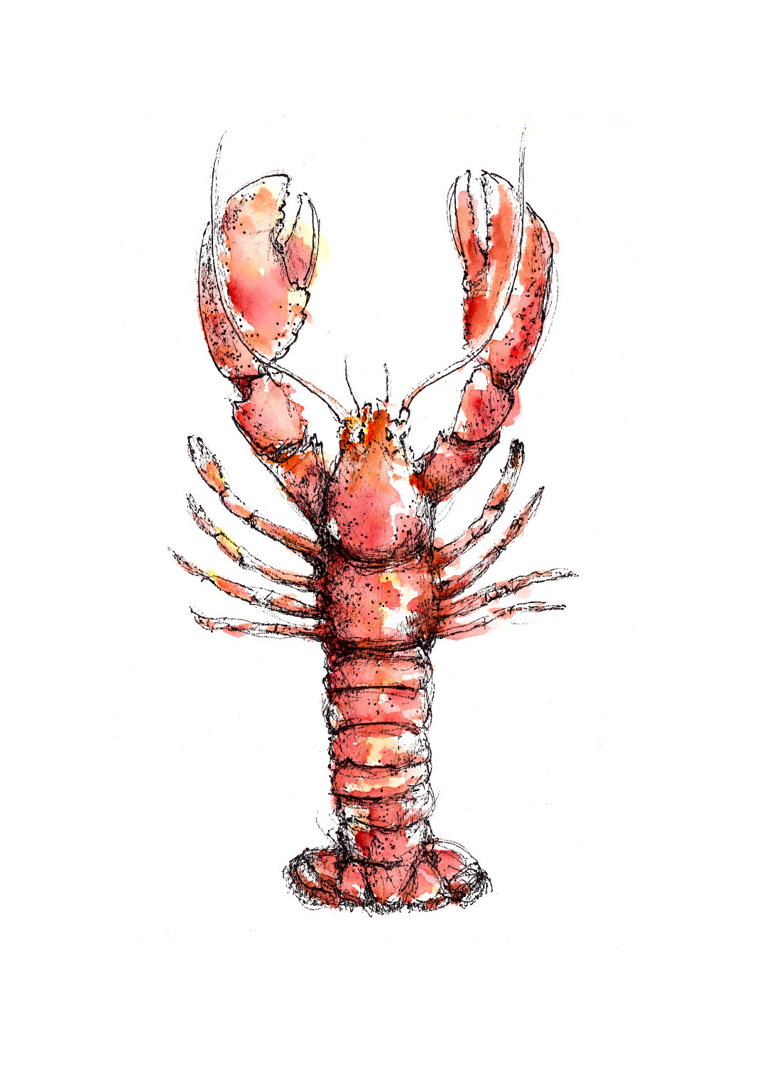 watercolor crab shrimp lobster menu scores