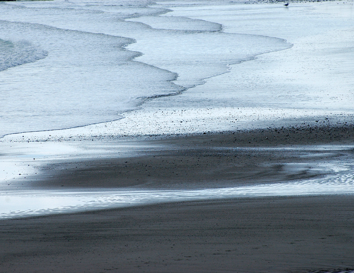 beach December seagulls snow flight