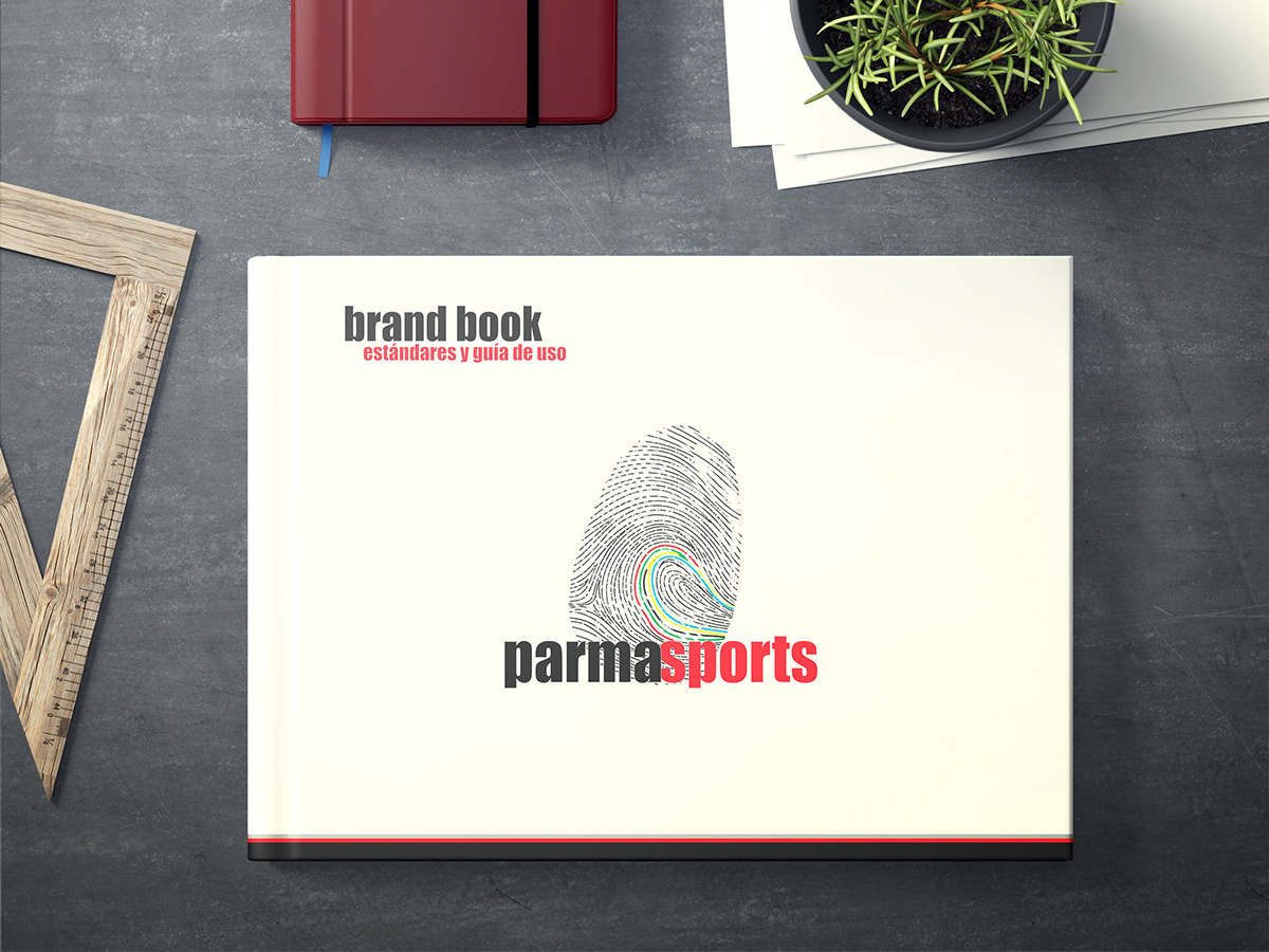 branding  logo Web design sport ILLUSTRATION  graphic design  marca