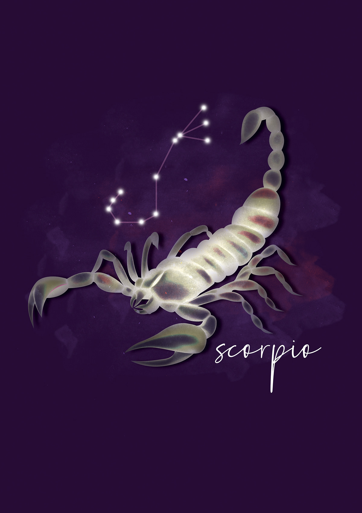 animal horoscopes scorpio zodiac