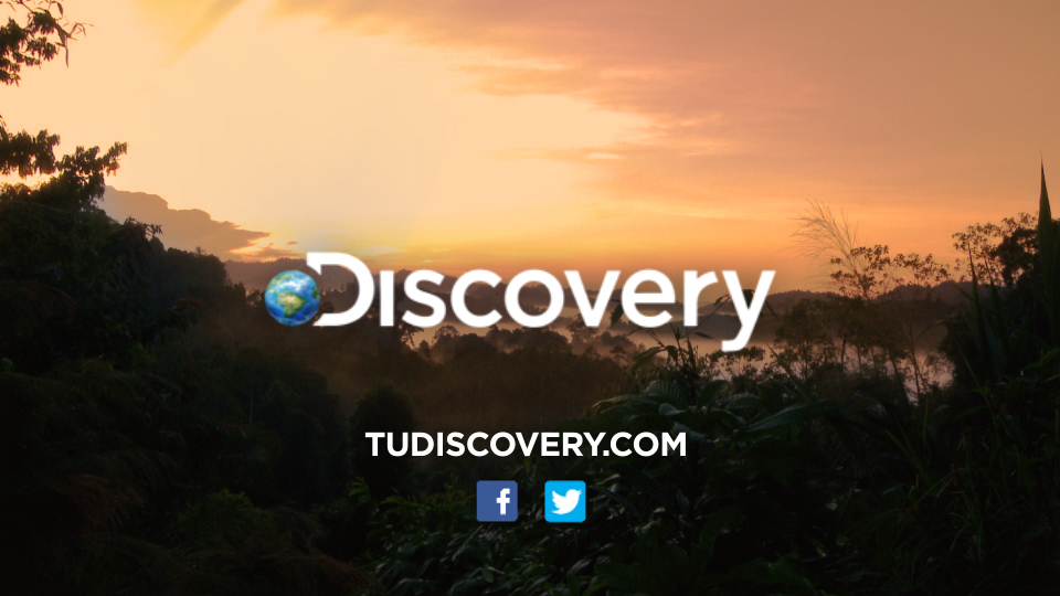 Idbrand brand ID discovery animacion tracking endpage