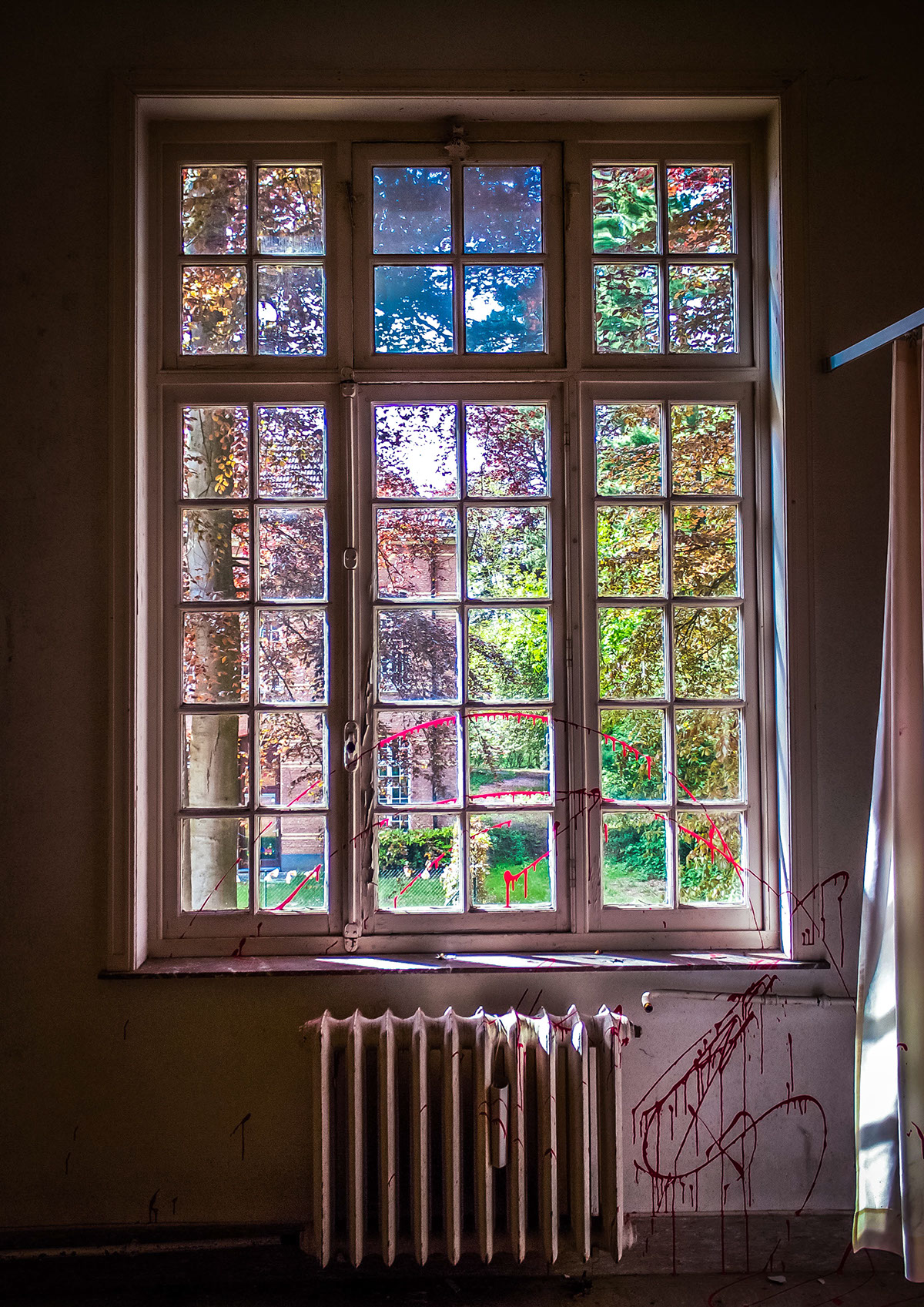 urbex windows AbandonedPlaces Nature forgotten asylum deserted solitary