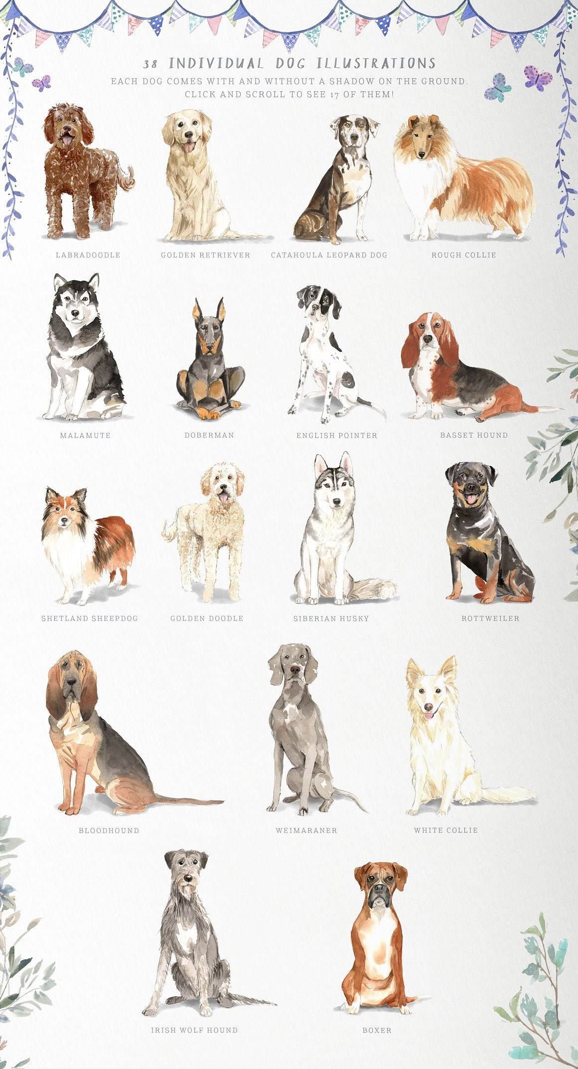 Boxer dog breeds dogs ILLUSTRATION  portrait watercolor watercolour dog graphics labradoodle Weimaranar
