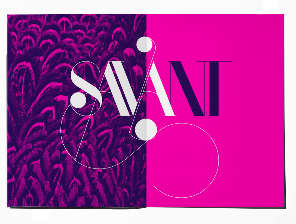 Typeface Didone bodoni Didot font contrast Display high-contrast glamour swash Ligatures magazine exuberant editorial Swashes