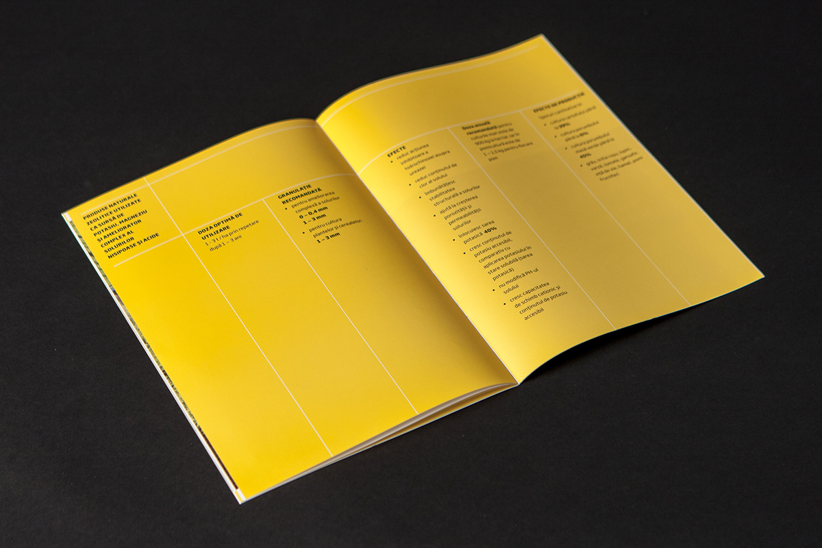 graphic design brochure print Zeolites