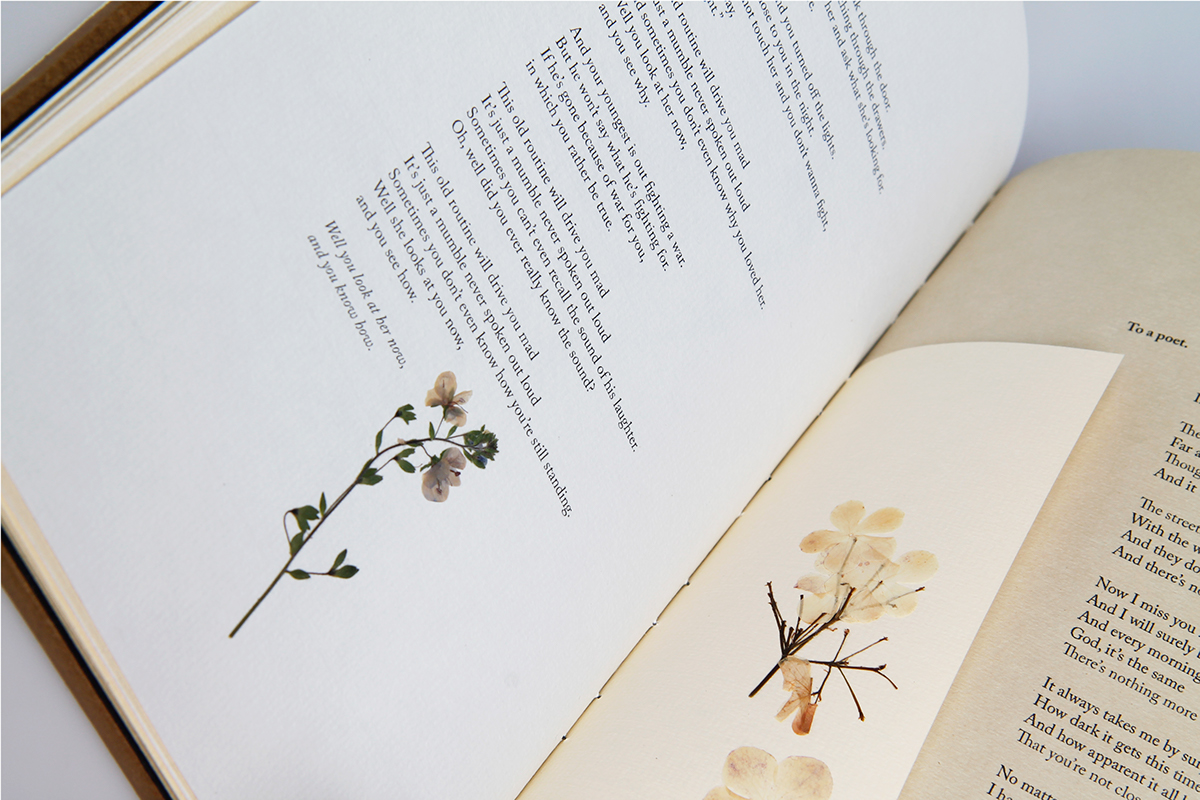 first aid kit cd Album cover special edition Nature Lyrics Diary handmade Flowers leaf eco indie folk Kraft