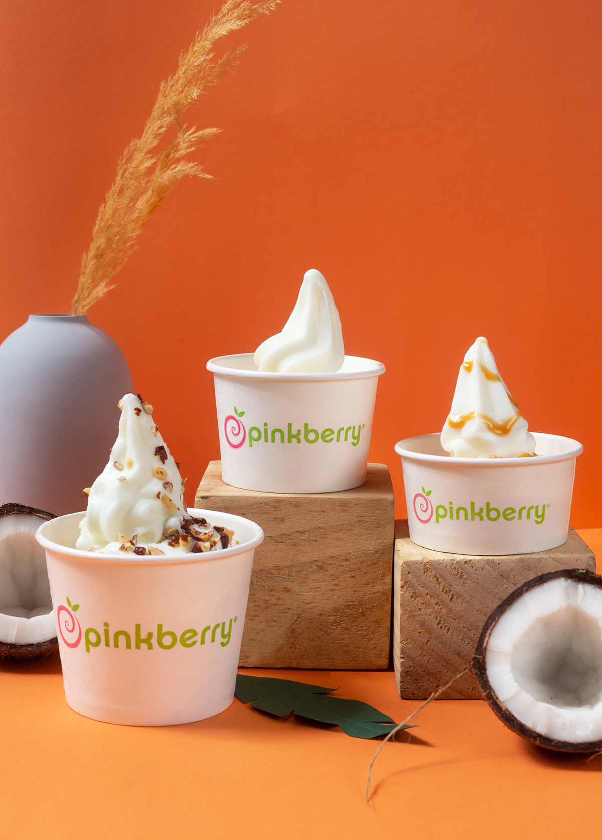 Coconut Food  food photography Photography  pinkberry Product Photography yoghurt