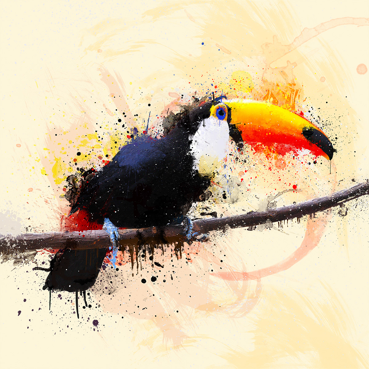 tucano art paint photo digital orange bird blue