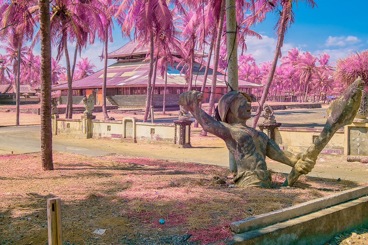 pink indonesia Nature Landscape colors surreal Magical infrared Palm Trees blue
