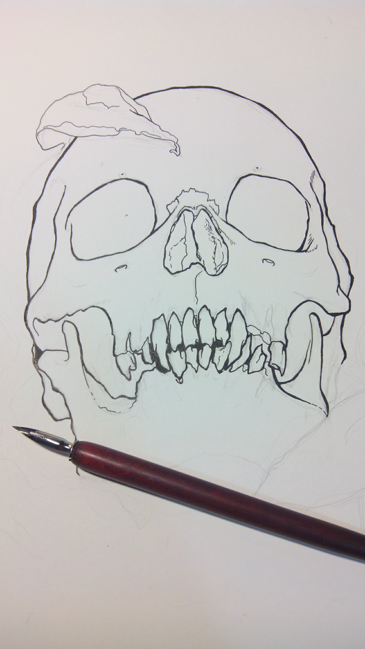 ink skull still life