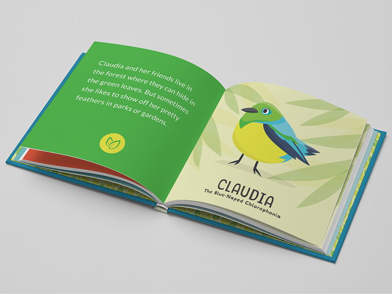 childrens book birds of brazil cute animals birds children Picture book