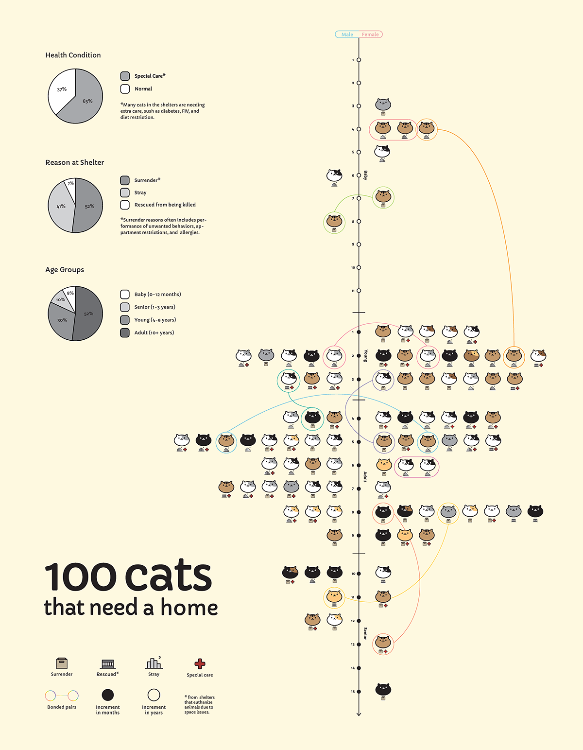 information architecture  graphic design  animal shelters Poster Design data visualization Data Base
