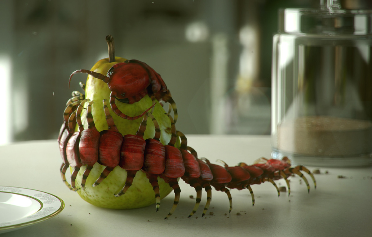 3D insect Scolopendra Gigantea centipede still life lighting bug portrait