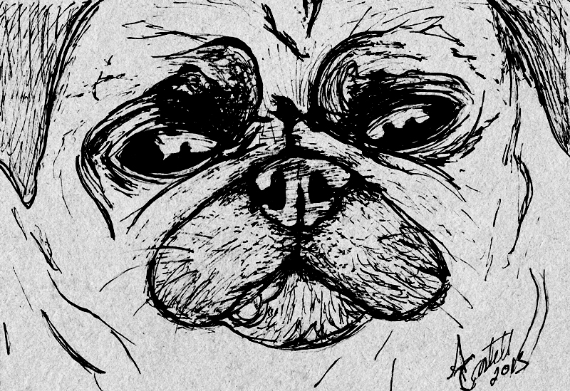 sketch paper papel craft dibujo draw Pug dog lettering boceto sharpie
