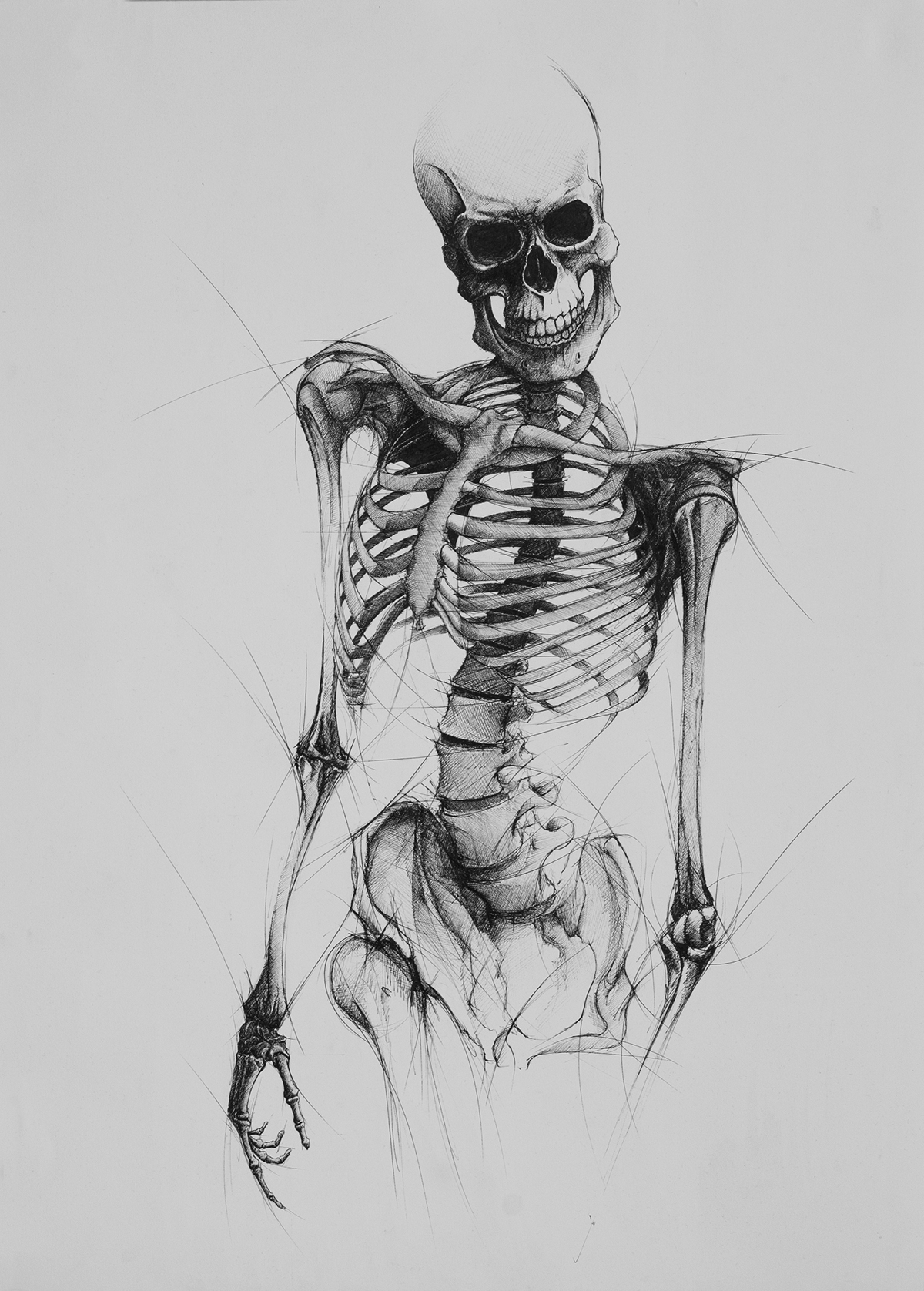 rapido çizim kemik bones fish bat human skeleton iskelet yarasa balık insan