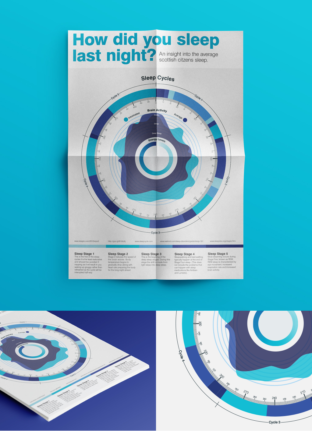 Adobe Portfolio infographic data visulisation